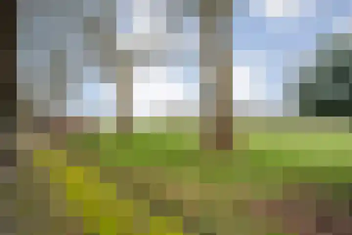 Dwarsweg 4 Nijensleek thumbnail 49