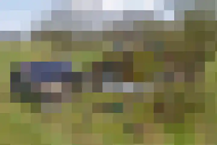 Dwarsweg 4 Nijensleek thumbnail 50