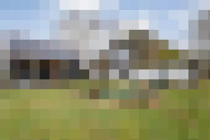 Dwarsweg 4 Nijensleek thumbnail 51