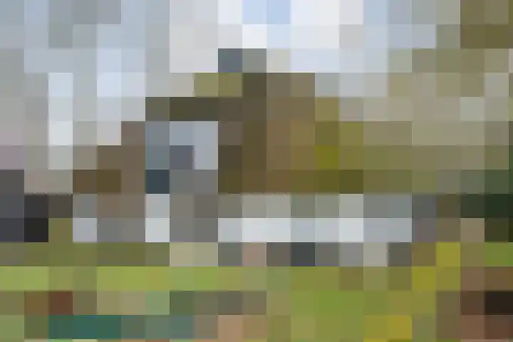 Dwarsweg 4 Nijensleek thumbnail 52