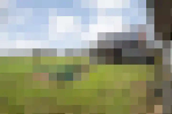 Dwarsweg 4 Nijensleek thumbnail 53