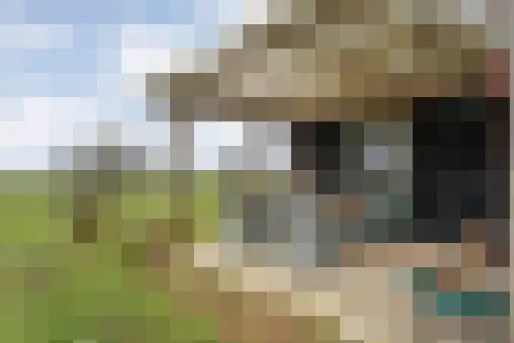 Dwarsweg 4 Nijensleek thumbnail 54