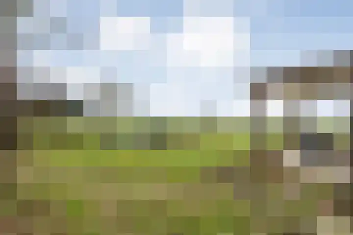 Dwarsweg 4 Nijensleek thumbnail 55