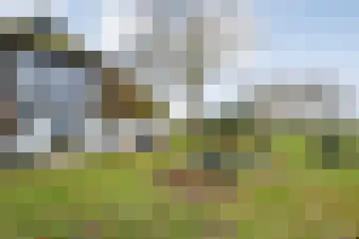 Dwarsweg 4 Nijensleek thumbnail 56