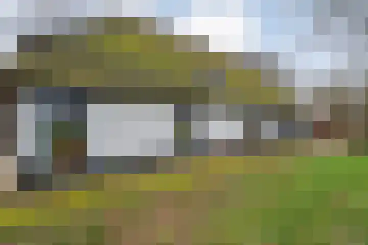 Dwarsweg 4 Nijensleek thumbnail 57