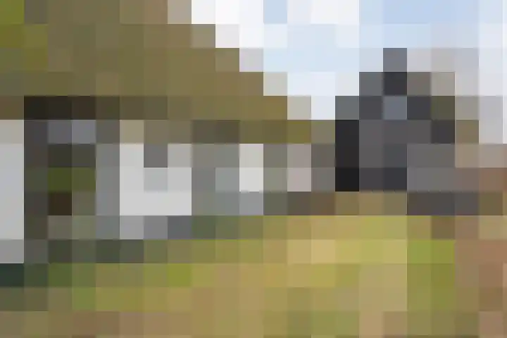 Dwarsweg 4 Nijensleek thumbnail 59
