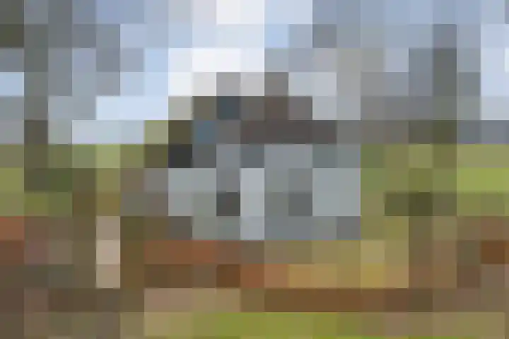 Dwarsweg 4 Nijensleek thumbnail 60