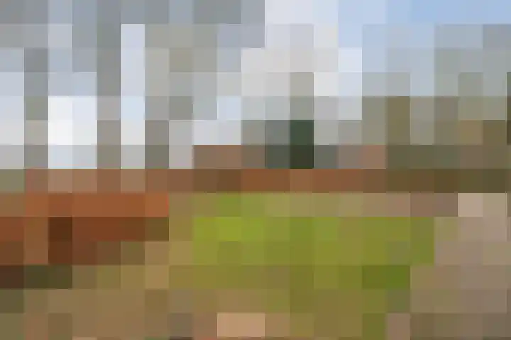 Dwarsweg 4 Nijensleek thumbnail 61