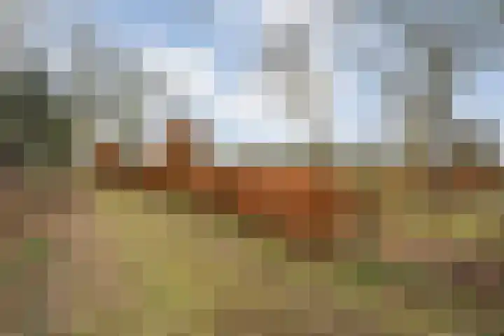 Dwarsweg 4 Nijensleek thumbnail 63
