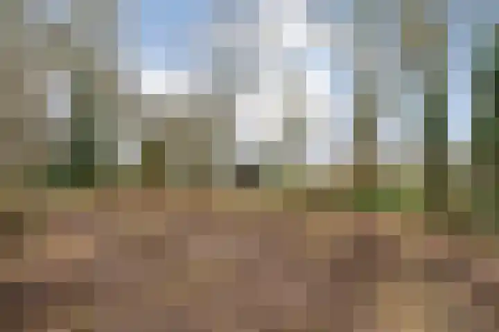 Dwarsweg 4 Nijensleek thumbnail 64