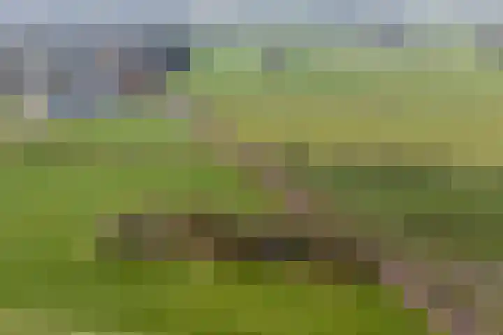 Dwarsweg 4 Nijensleek thumbnail 66