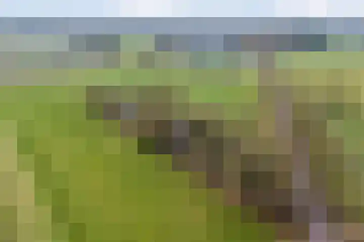 Dwarsweg 4 Nijensleek thumbnail 67