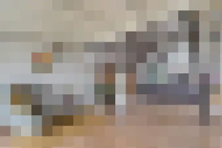 Dwarsweg 4 Nijensleek thumbnail 8