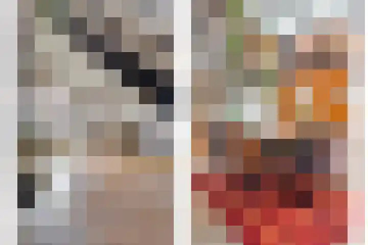 Dwarsweg 4 Nijensleek thumbnail 9