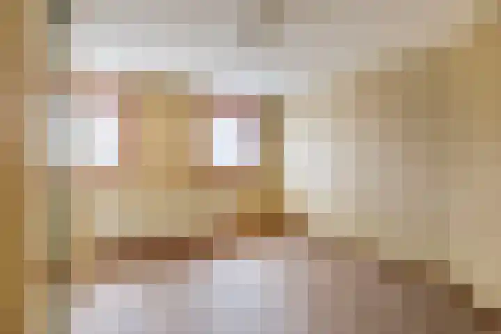 Dwarsweg 42 Rockanje thumbnail 17