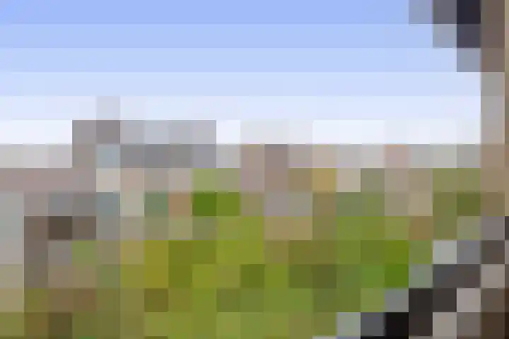 Dwarsweg 42 Rockanje thumbnail 22
