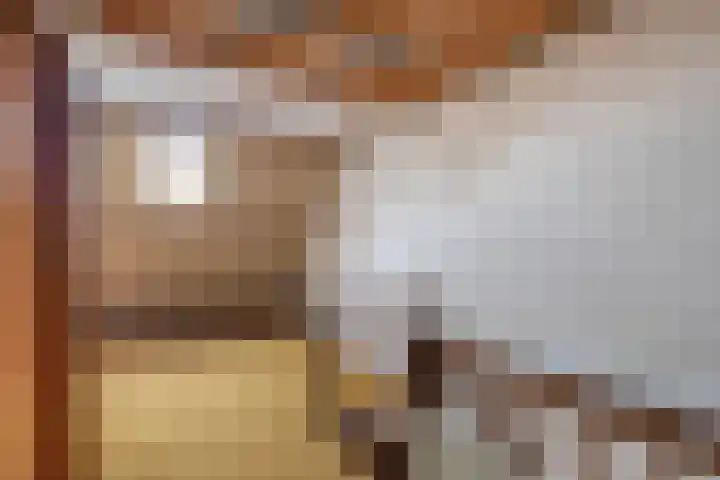 Dwarsweg 42 Rockanje thumbnail 26