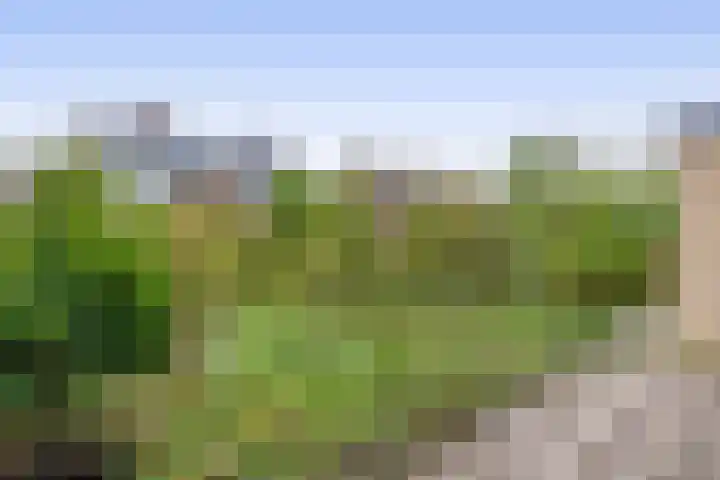 Dwarsweg 42 Rockanje thumbnail 30