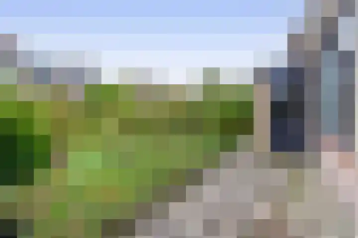 Dwarsweg 42 Rockanje thumbnail 32