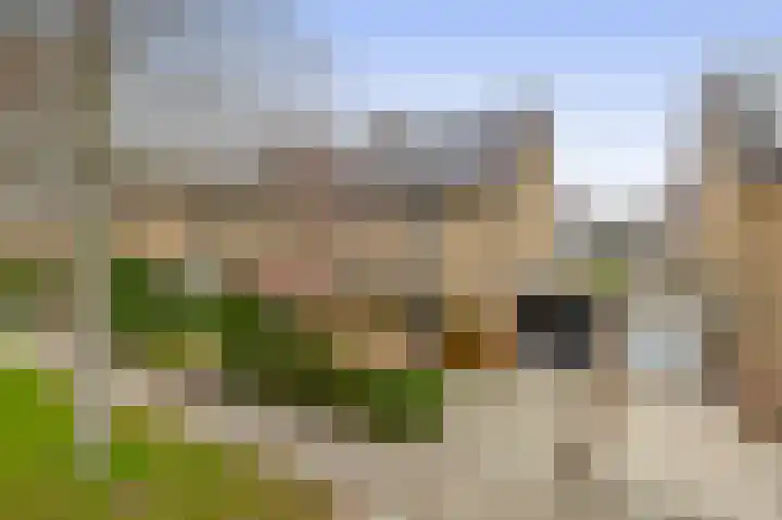 Dwarsweg 42 Rockanje thumbnail 5
