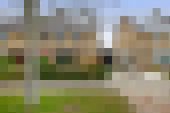 Dwarsweg 42 Rockanje thumbnail 6