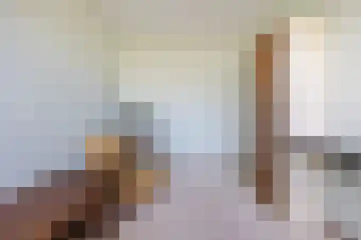 Dwarsweg 46 Rockanje thumbnail 20