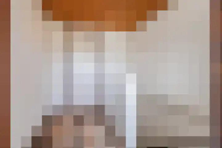 Dwarsweg 46 Rockanje thumbnail 23