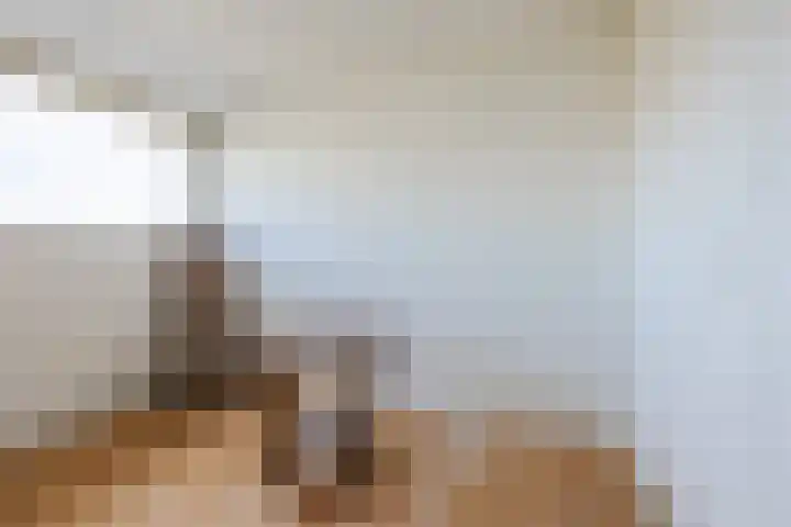 Dwarsweg 46 Rockanje thumbnail 27