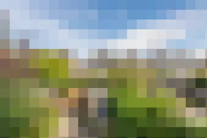 Dwarsweg 46 Rockanje thumbnail 28