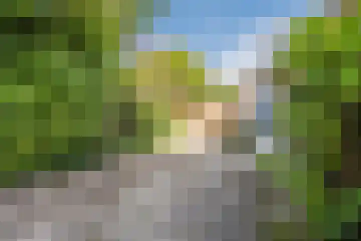 Dwarsweg 46 Rockanje thumbnail 29