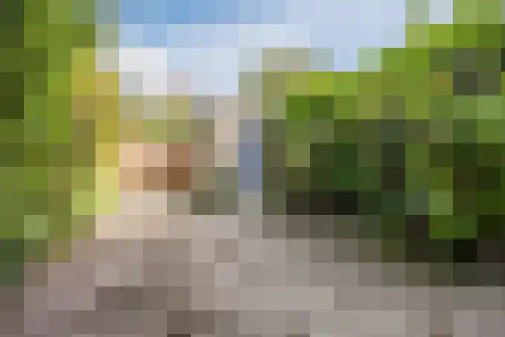 Dwarsweg 46 Rockanje thumbnail 30