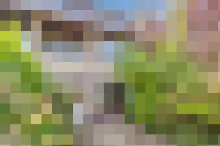 Dwarsweg 46 Rockanje thumbnail 31