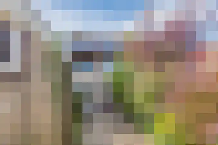 Dwarsweg 46 Rockanje thumbnail 32