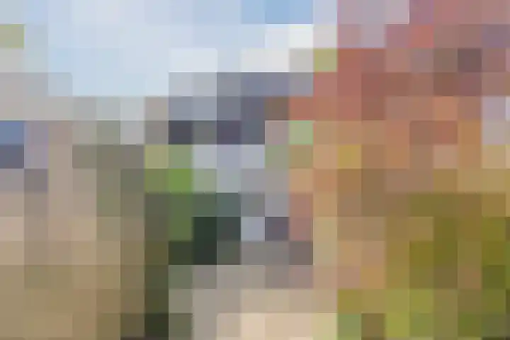 Dwarsweg 46 Rockanje thumbnail 33