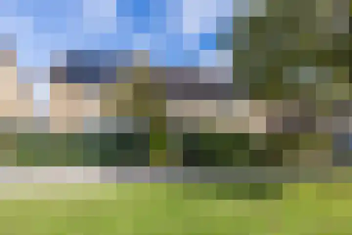 Dwarsweg 46 Rockanje thumbnail 34