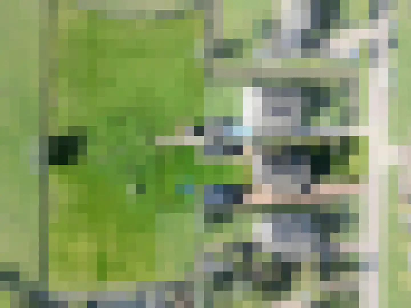 Dwarsweg 5 a Heukelum thumbnail 14