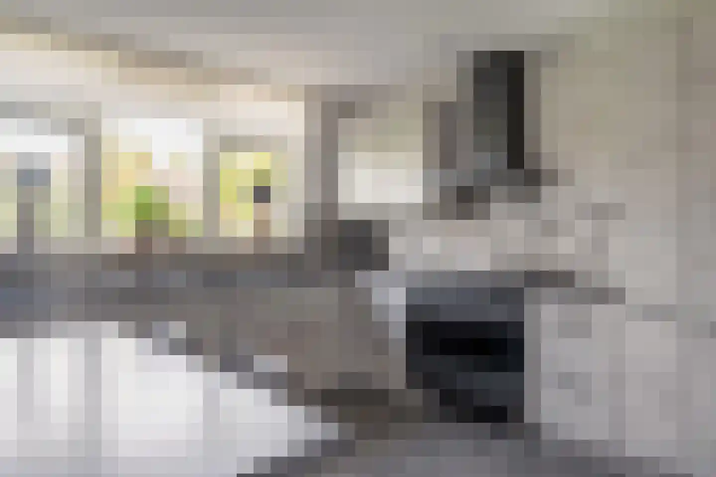 Dwarsweg 5 a Heukelum thumbnail 27