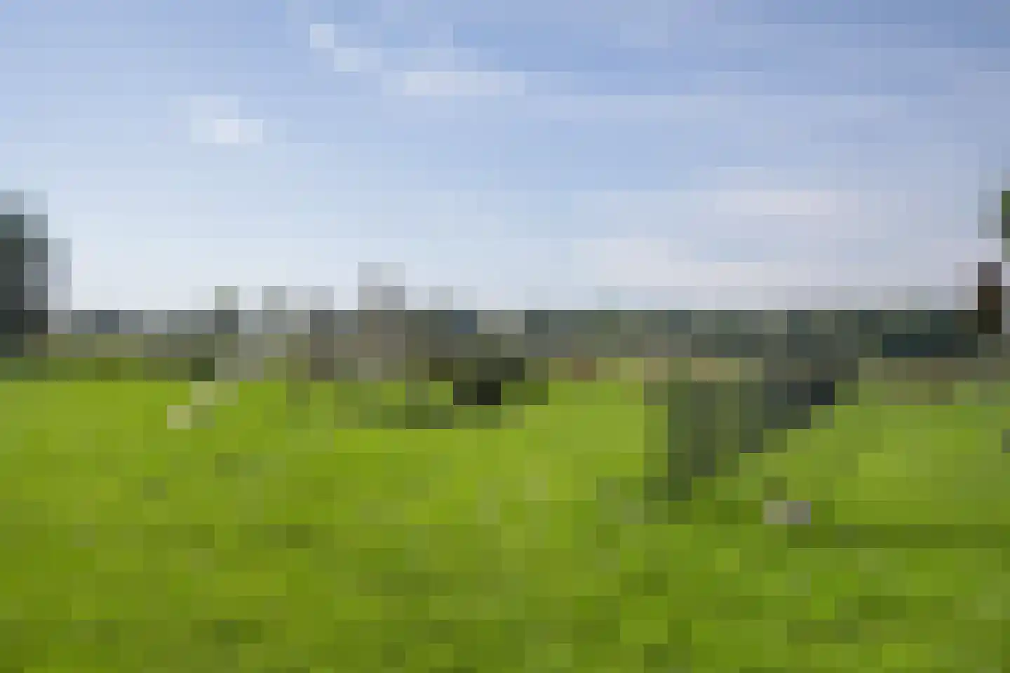 Dwarsweg 5 a Heukelum thumbnail 4