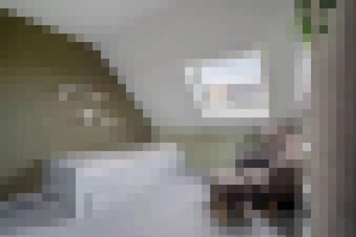 Dwarsweg 5 a Heukelum thumbnail 44