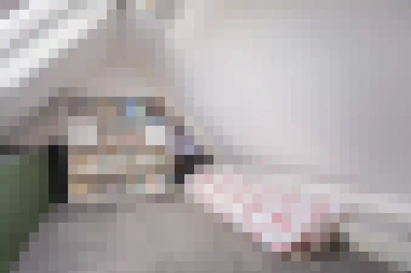 Dwarsweg 5 a Heukelum thumbnail 53