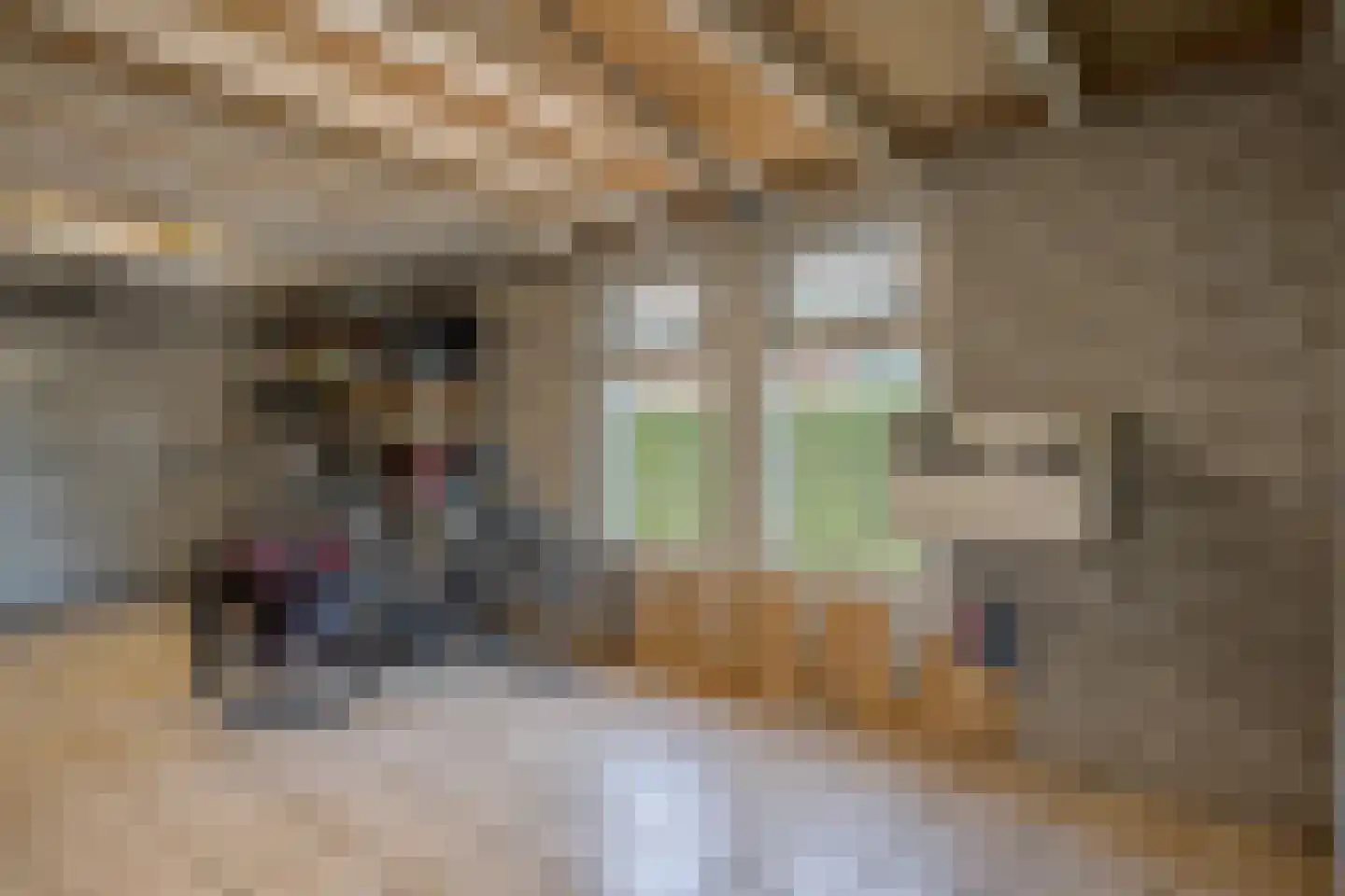 Dwarsweg 5 a Heukelum thumbnail 55