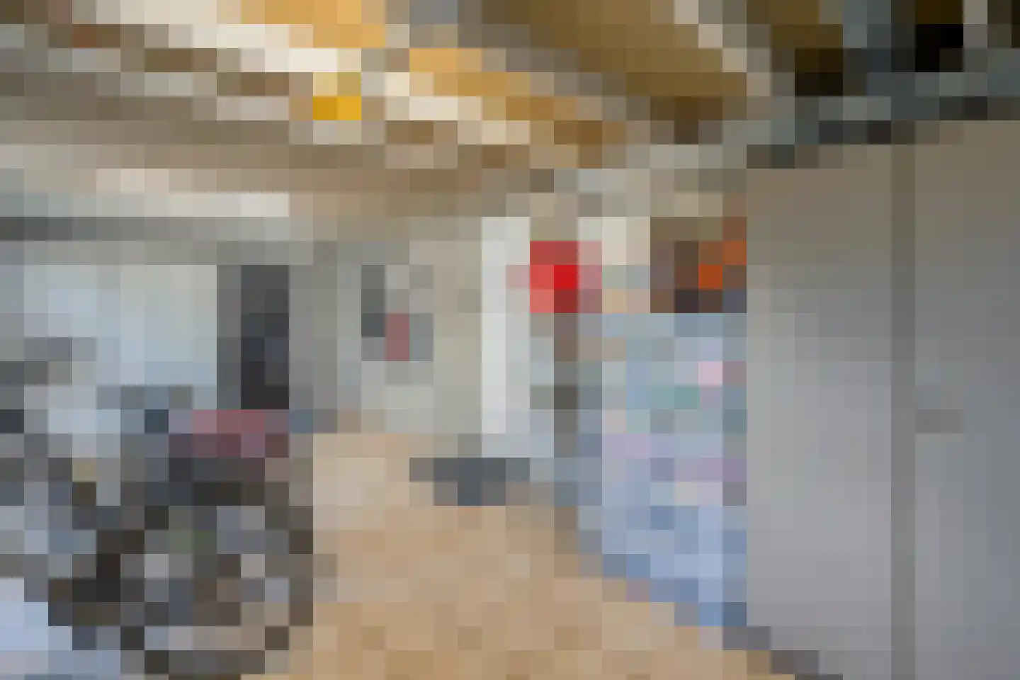 Dwarsweg 5 a Heukelum thumbnail 56