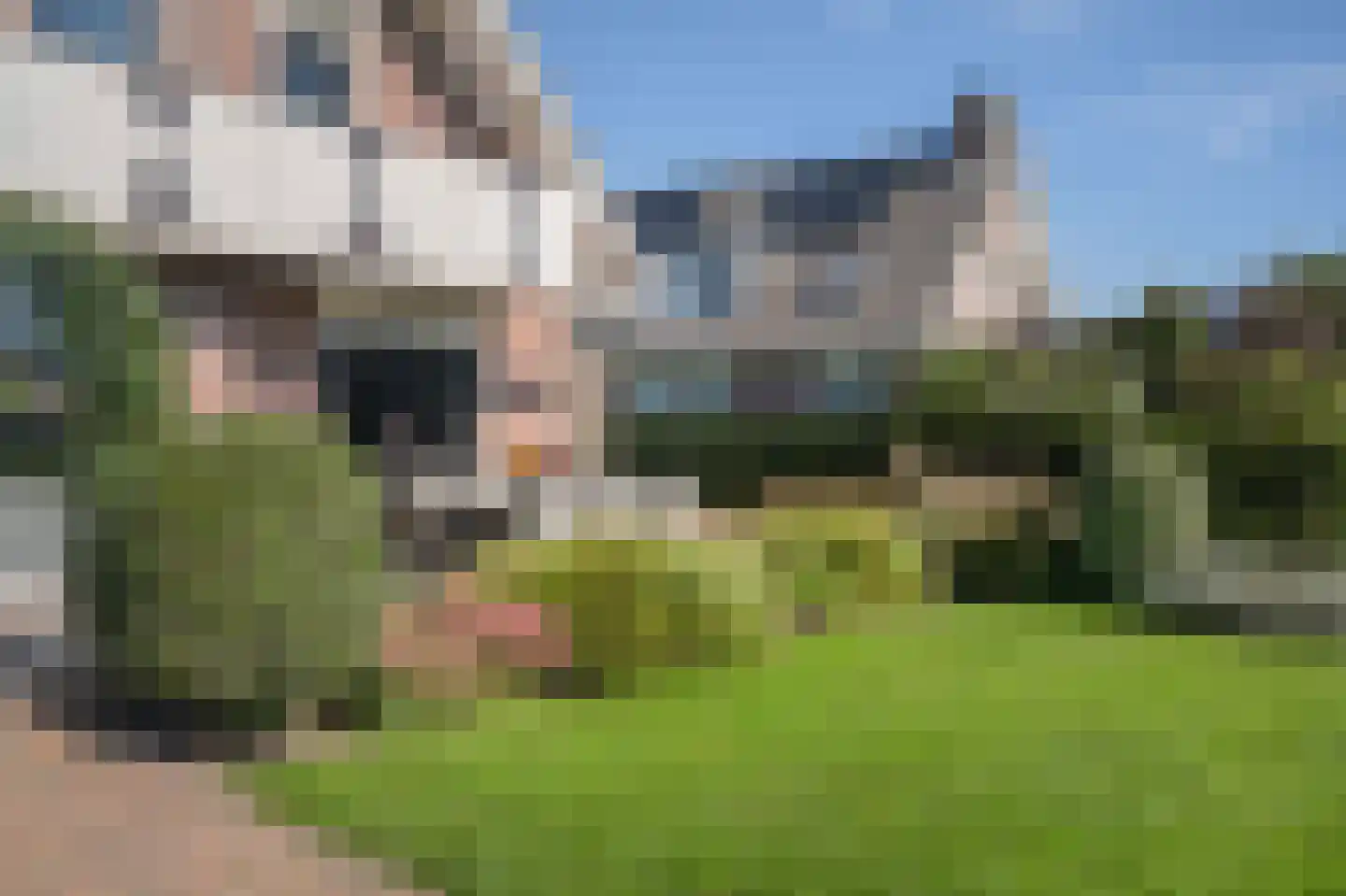 Dwarsweg 5 a Heukelum thumbnail 58