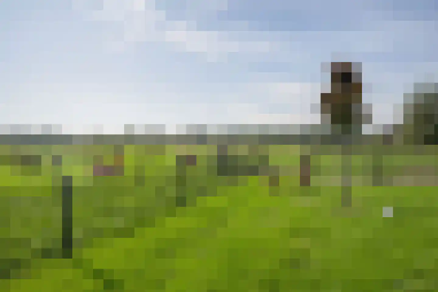 Dwarsweg 5 a Heukelum thumbnail 69