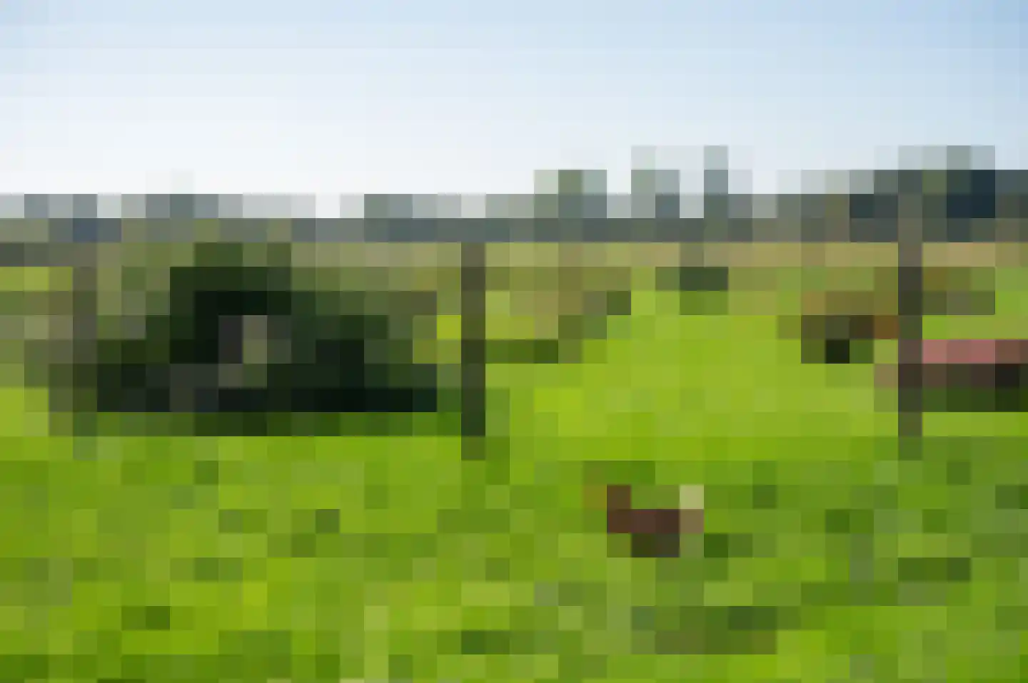 Dwarsweg 5 a Heukelum thumbnail 74