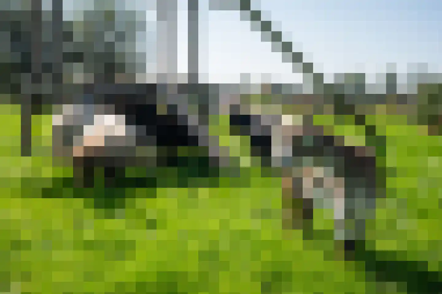Dwarsweg 5 a Heukelum thumbnail 77