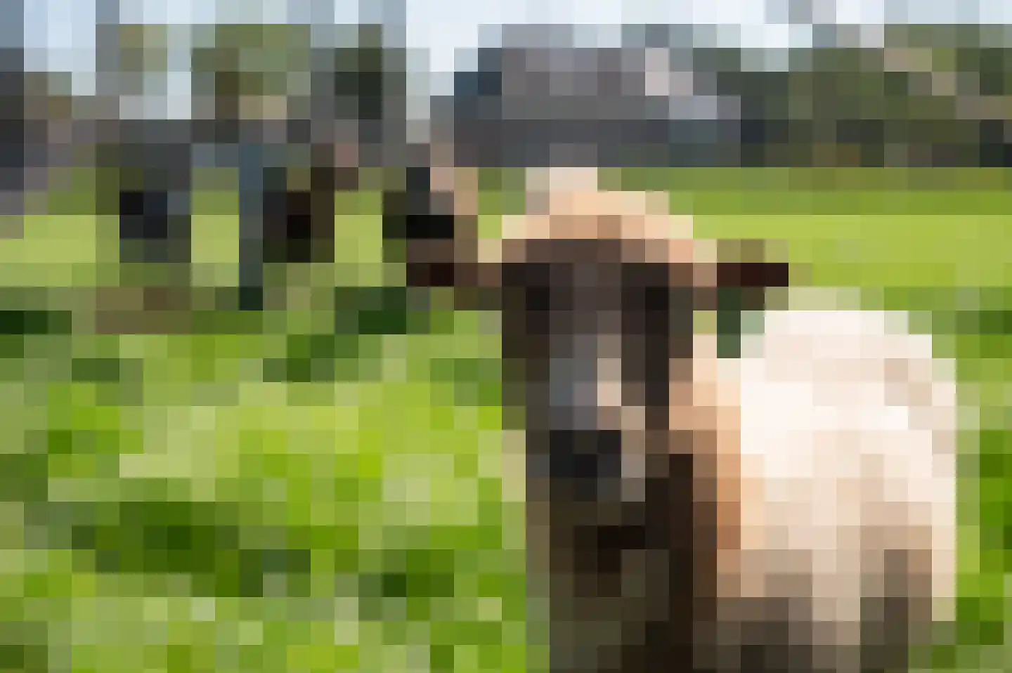 Dwarsweg 5 a Heukelum thumbnail 78