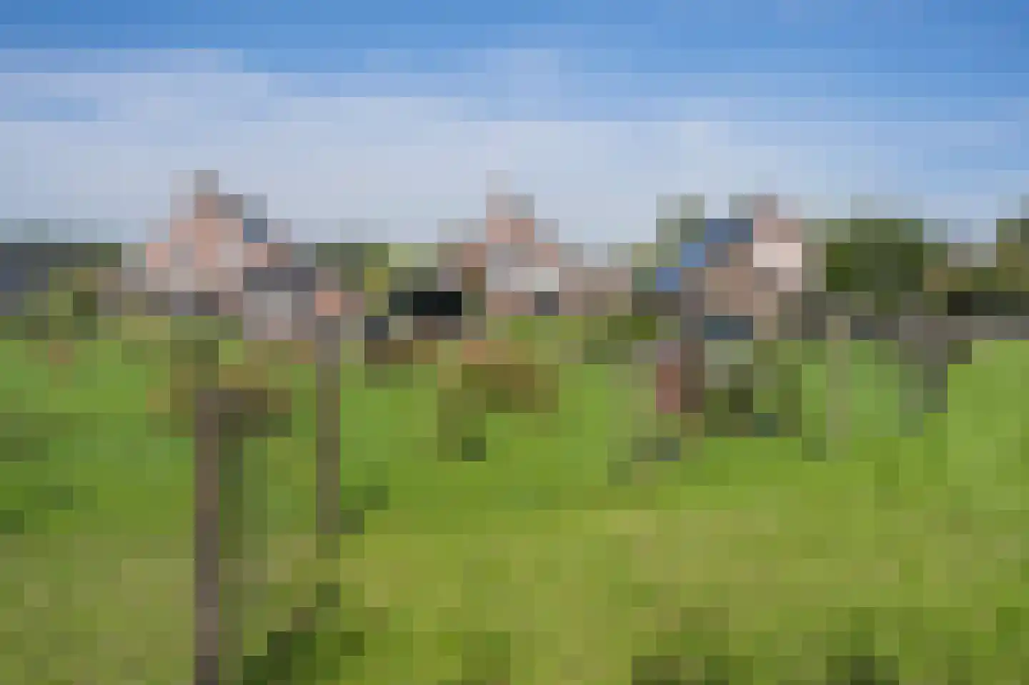 Dwarsweg 5 a Heukelum thumbnail 79