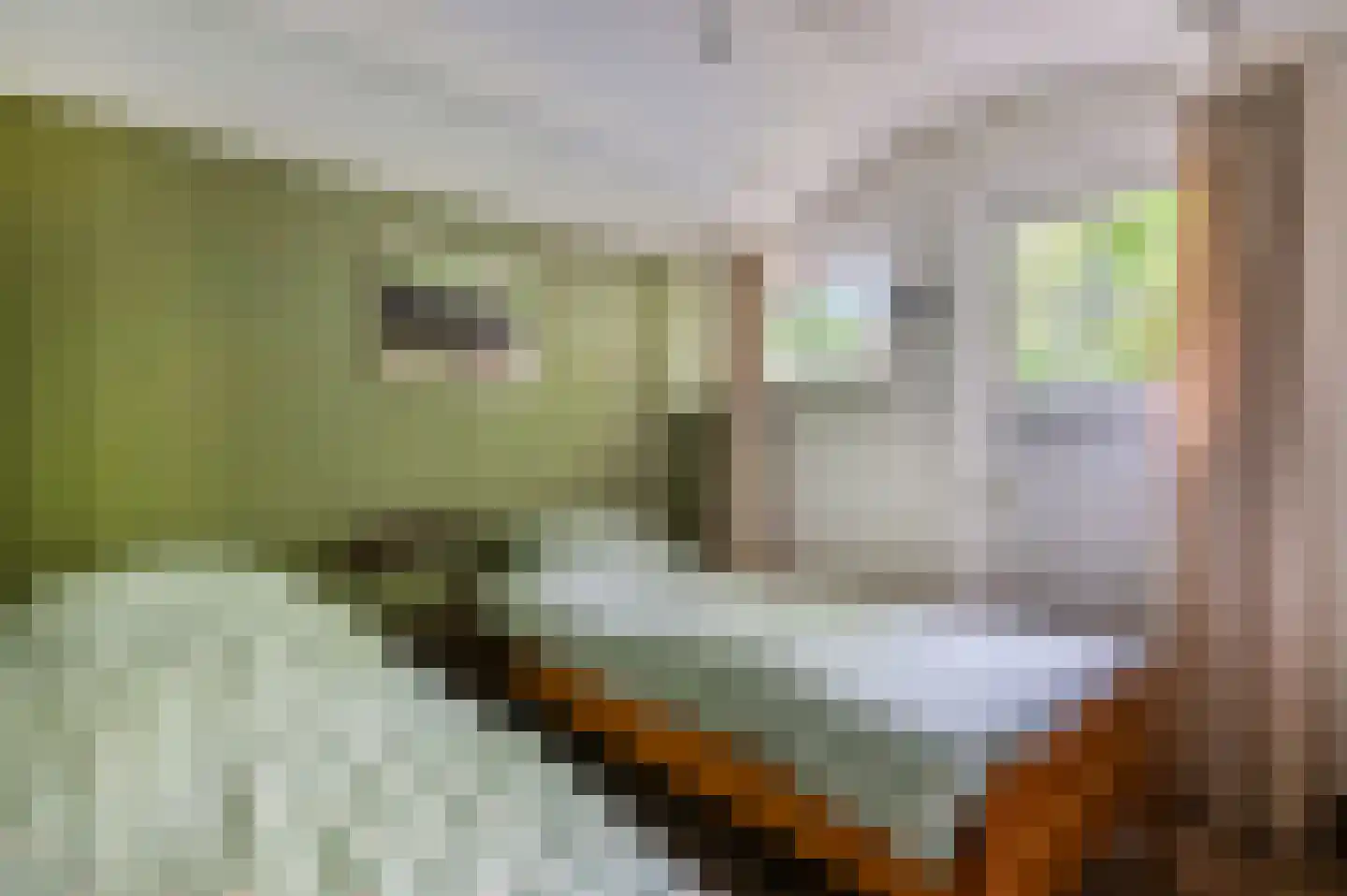 Dwarsweg 5 r 346 Overberg thumbnail 23
