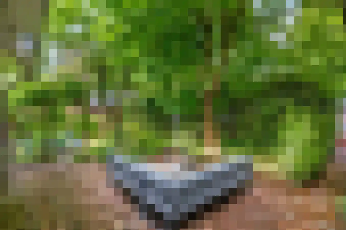 Dwarsweg 5 r 346 Overberg thumbnail 24